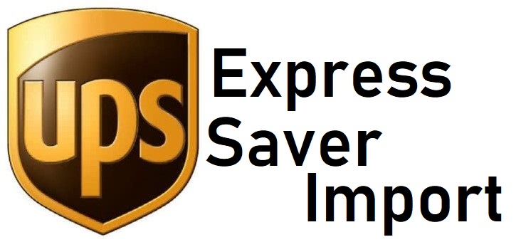 express_saver_import_logo.jpg